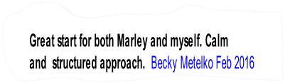 Great start for both Marley and myself. Calm
and  structured approach.  Becky Metelko Feb 2016
