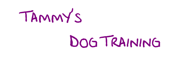      Tammy’s
        Dog Training
